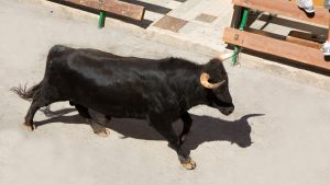 San Fermín